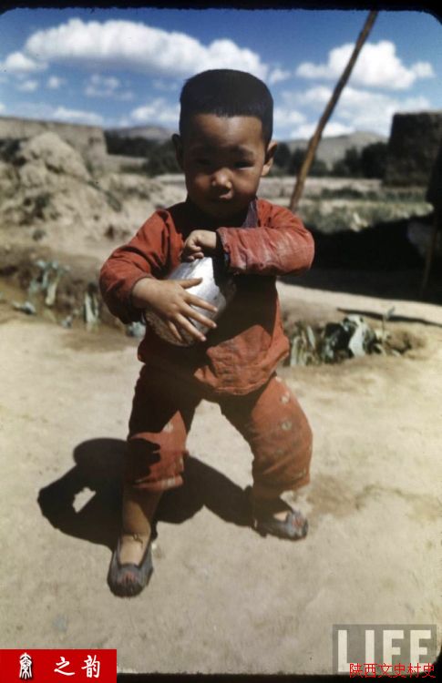 ���������������Ƭ