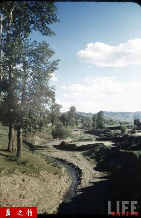 ���������������Ƭ