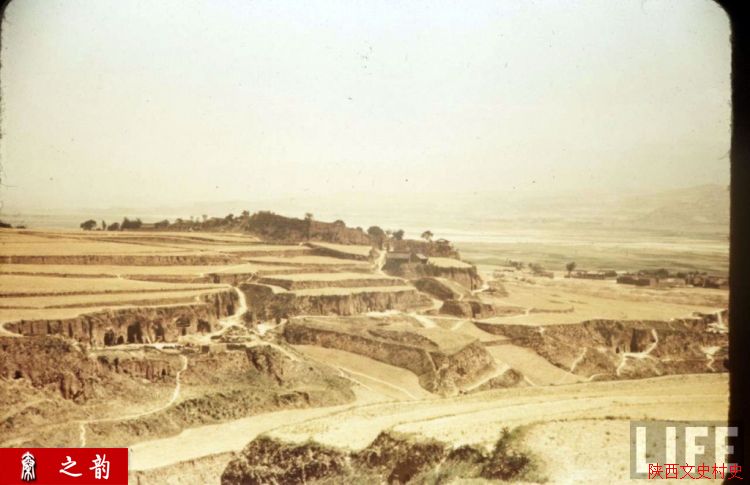 ���������������Ƭ