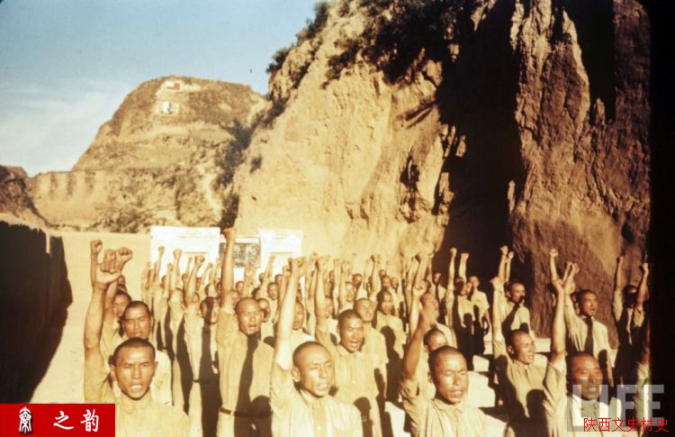 ���������������Ƭ