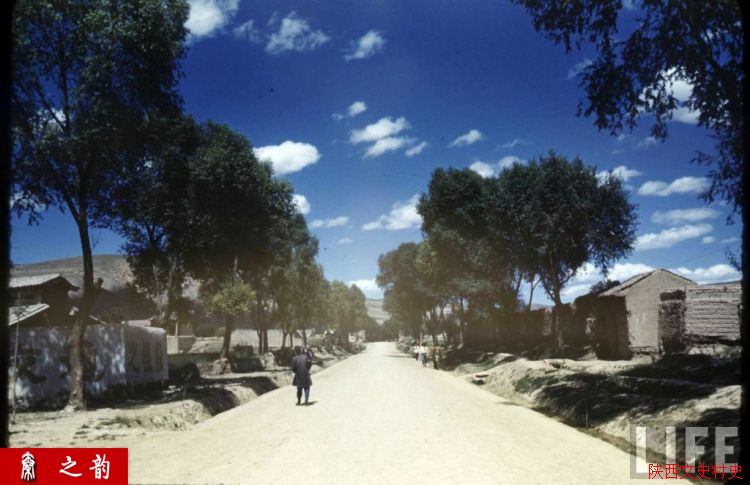 ���������������Ƭ