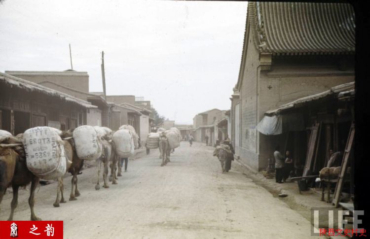 ���������������Ƭ