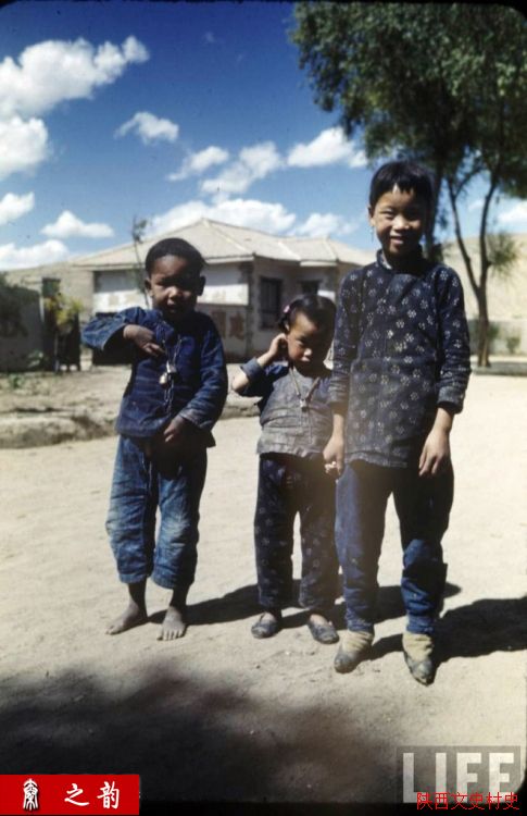 ���������������Ƭ