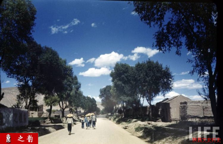 ���������������Ƭ