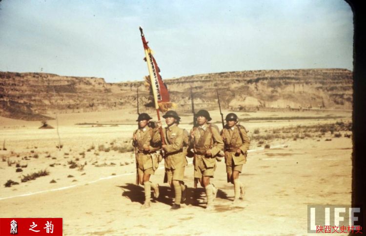 ���������������Ƭ