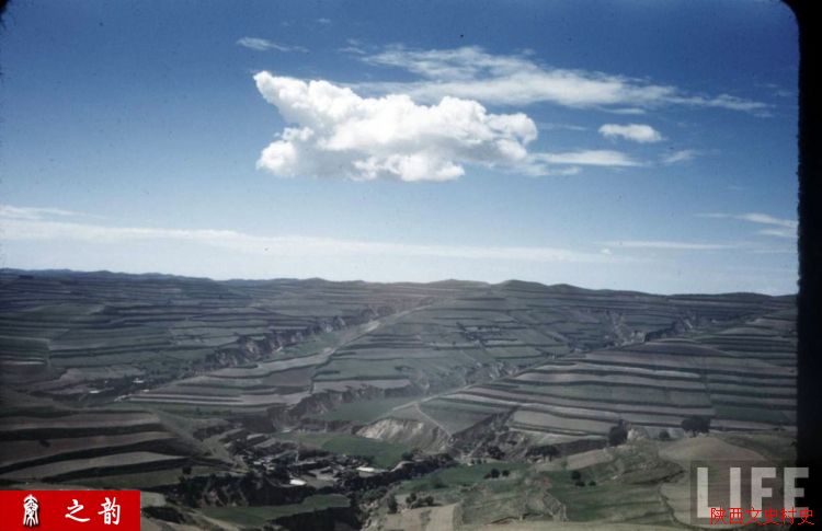 ���������������Ƭ