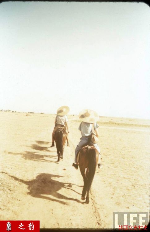 ���������������Ƭ