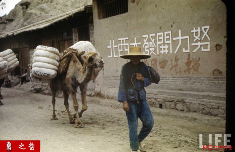 ���������������Ƭ