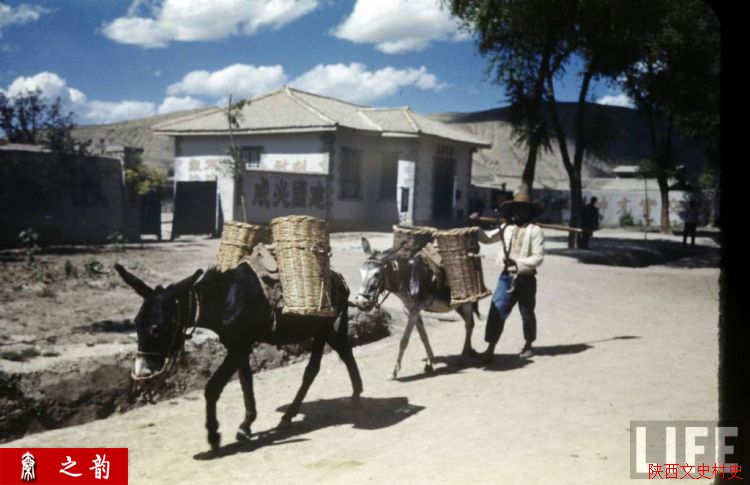 ���������������Ƭ