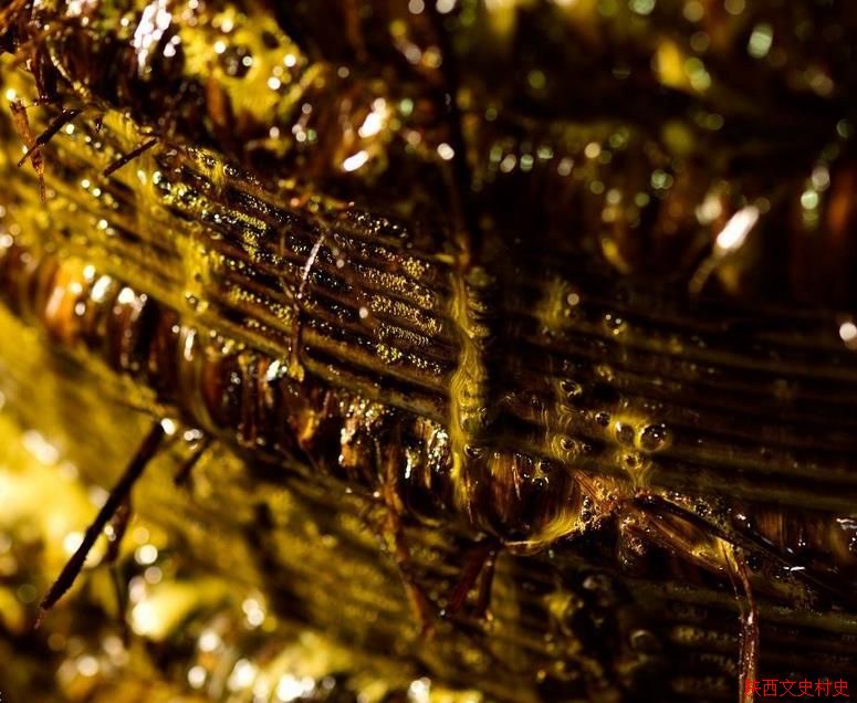 ��������������ͷ��ֹ����͹���