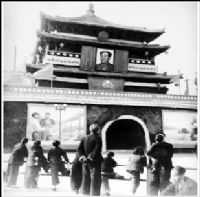 ������¥Ǩ�ƹ���